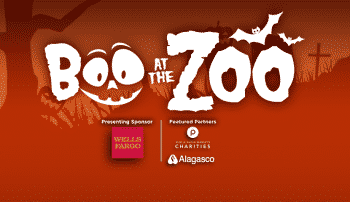 Boo at the Zoo Birmingham