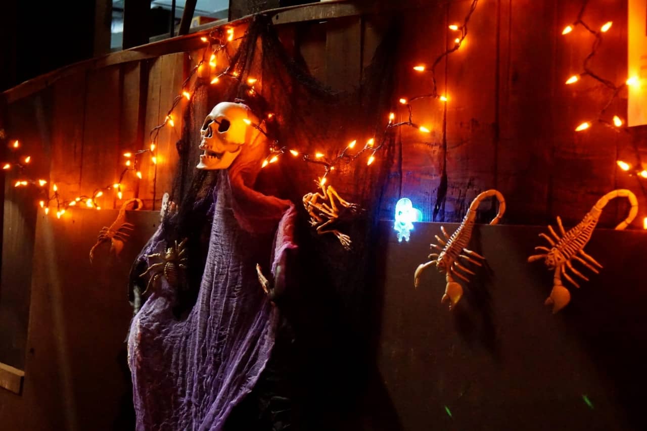 DSC05454 copy USA Today names Dia de los Muertos Festival in Birmingham top 10 nationally (slideshow)