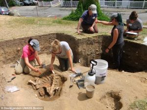 Archaeologists uncover proof of original Plymouth settlement, just in time for Thanksgiving Day 1 Photo by David Landon/UMASS
