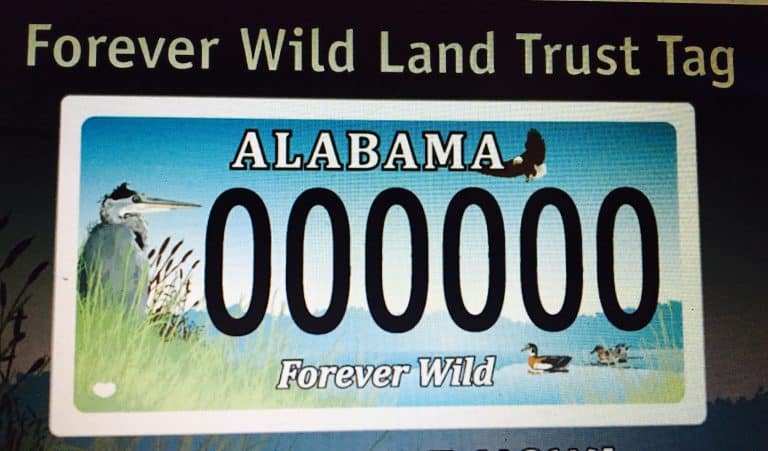 Alabama Conservation Tags