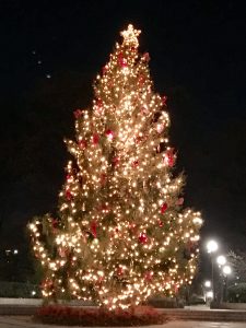 Birmingham's Christmas Tree at Linn Park