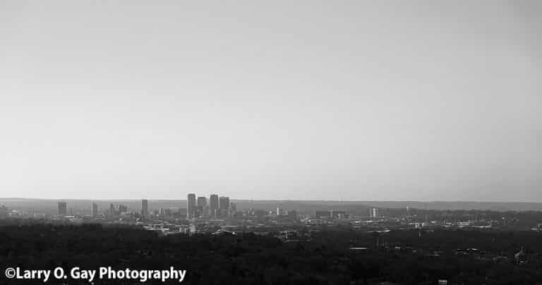 Get your calendars out – Ruffner Mountain just released their upcoming events for February and March Get your calendars out – Ruffner Mountain just released their upcoming events for February and March