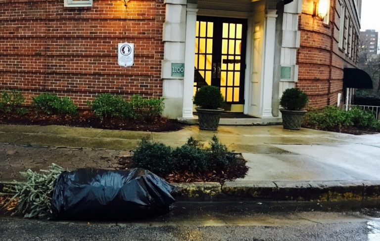 Alabama Environmental Council has released its statewide Christmas tree recycling drop-off list