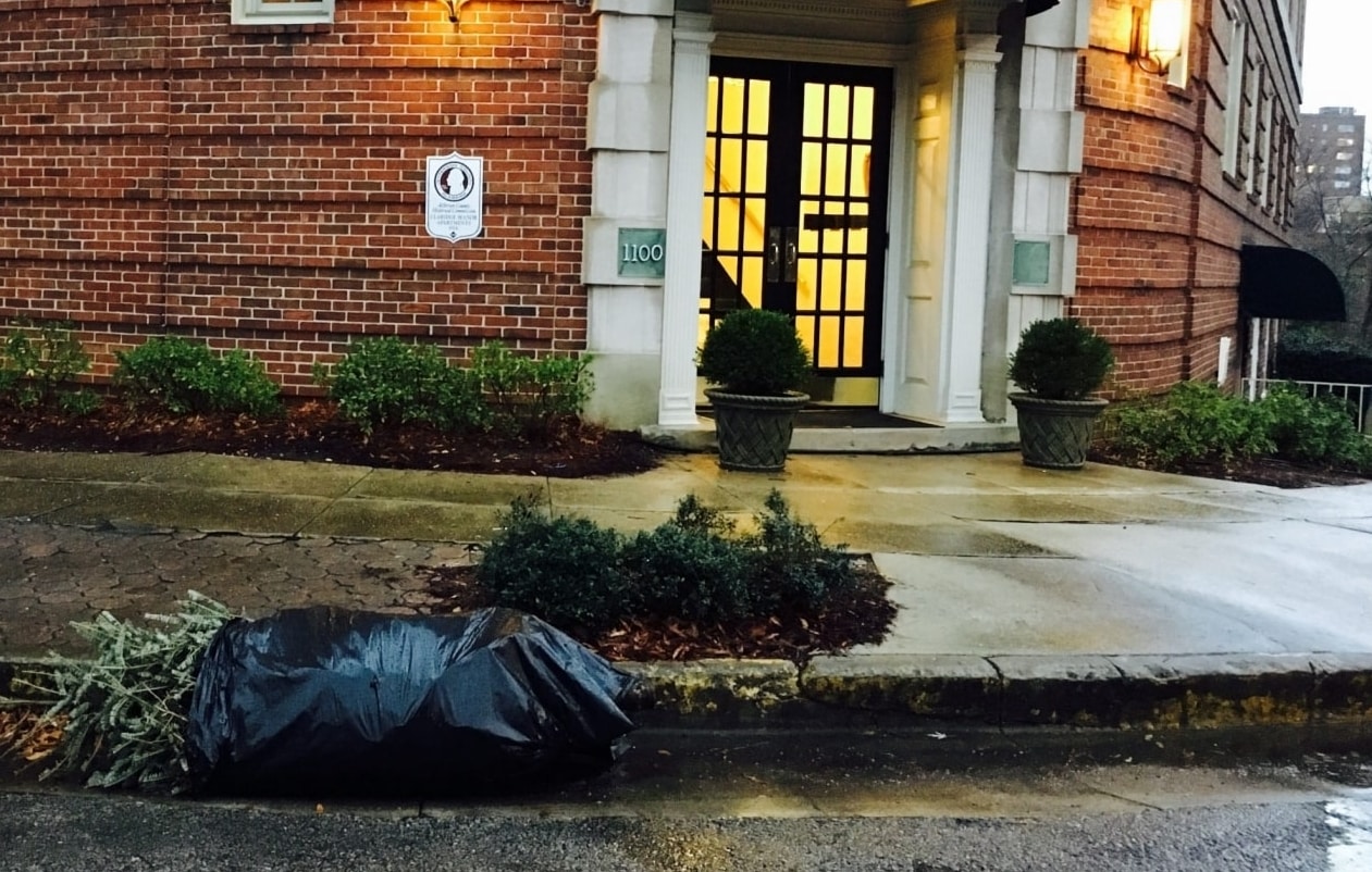 Got needles? Check out our Christmas tree recycling in Birmingham tip