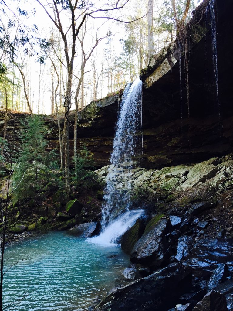 Bankhead National Forest 