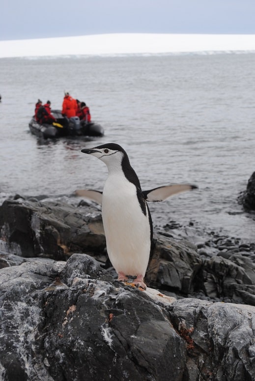 blog 5 Fresh from the bottom of the world - Antarctica adventures of UAB's Jim McClintock