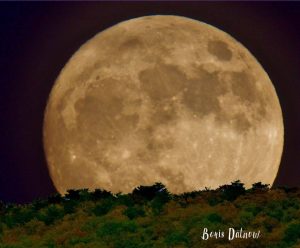 15085606 1611283925564354 8039148247902266914 n JSU Little River Canyon Center: Build your February calendar with hikes, stars, birds and jazz