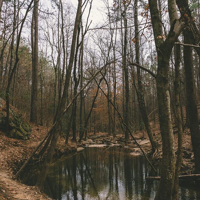 Instagram:Can you guess where this was taken? #bhamnow Instagram:Can you guess where this was taken? #bhamnow