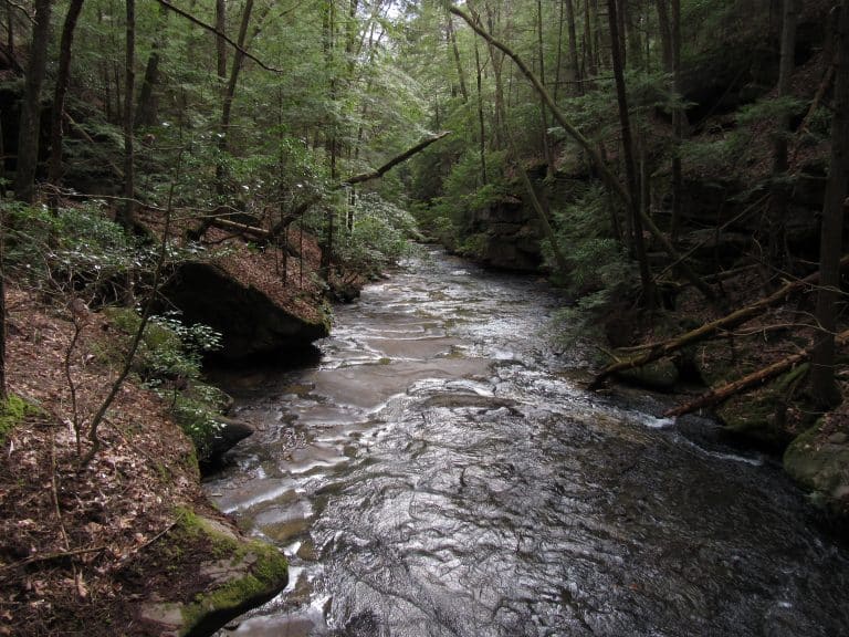 State Waterkeeper groups notify state environmental protection agency about non-compliance of new water quality rules