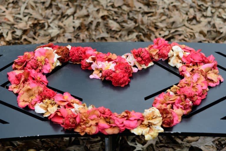 Spring is on it’s way Spring is on it’s way