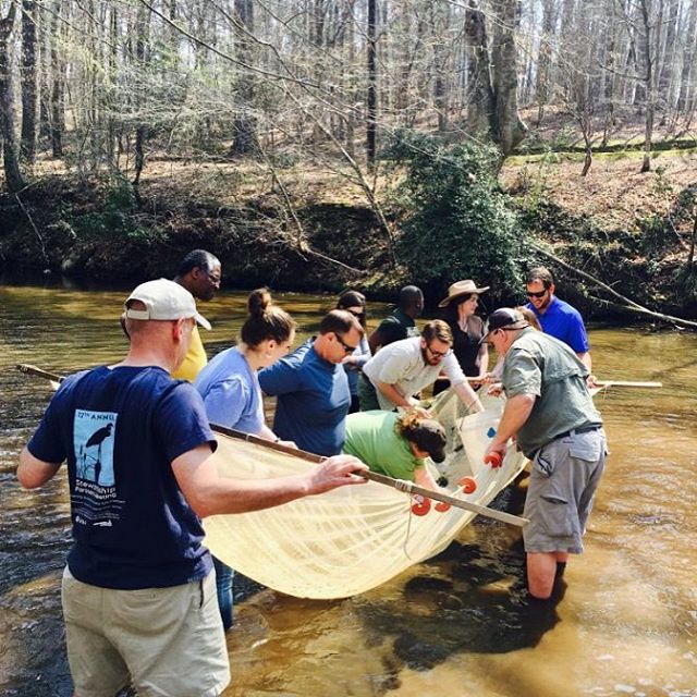 Instagram:Sustainability leaders get their feet wet "chasing" fish in the Cahaba watershed. Learn more at the link in our bio! #bhamnow