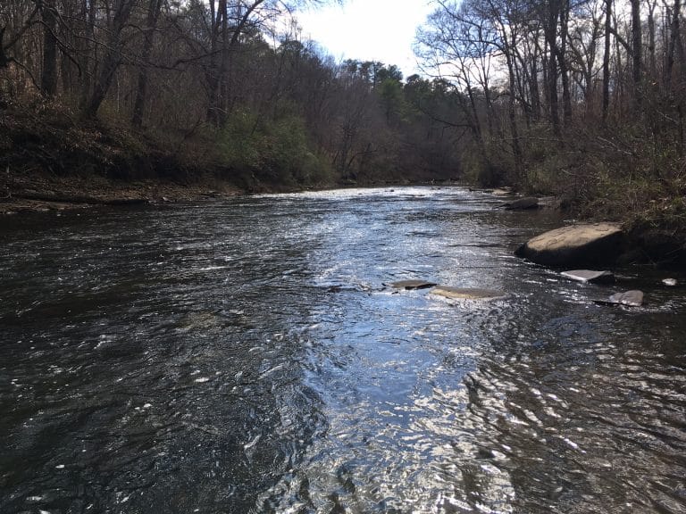 River protection groups call for strong rules to notify and protect the public from sewage spills and overflows River protection groups call for strong rules to notify and protect the public from sewage spills and overflows