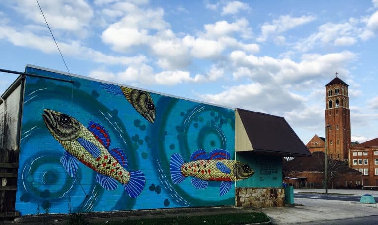 Birmingham loves darters