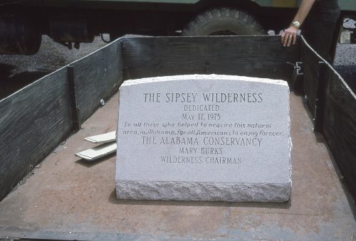Bamabuzz Sipsey Wilderness