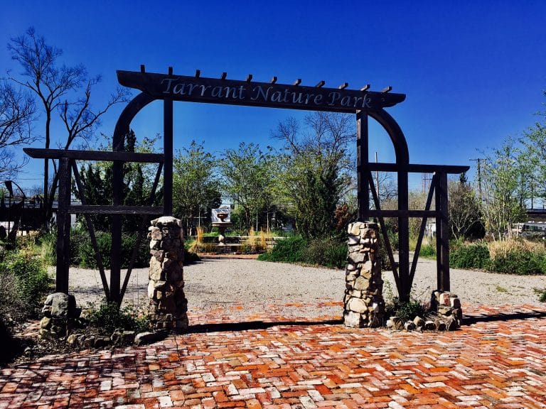 A nature park grows in Tarrant A nature park grows in Tarrant