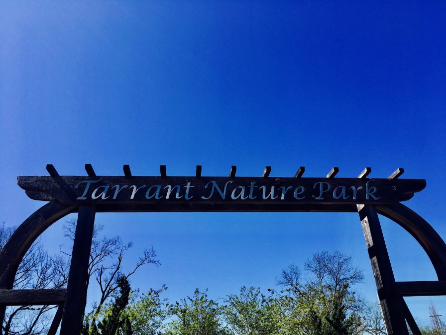Tarrant 1 A nature park grows in Tarrant