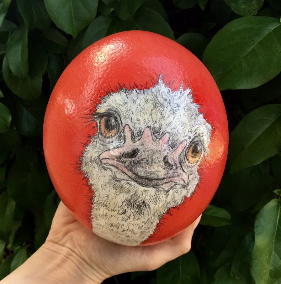 eggs 2 For conservation - Birmingham Zoo brings back the Easter Ostrich Egg Auction (photos)