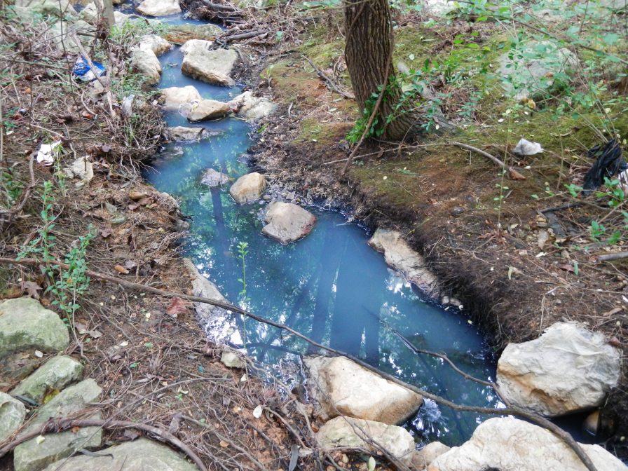 Spot the two boys in the photo? They were swimming downstream of a 4000 gallon sewage spill... nobody told them 4 getPart 1 Spot the two boys in the photo? They were swimming downstream of a 4000 gallon sewage spill... nobody told them