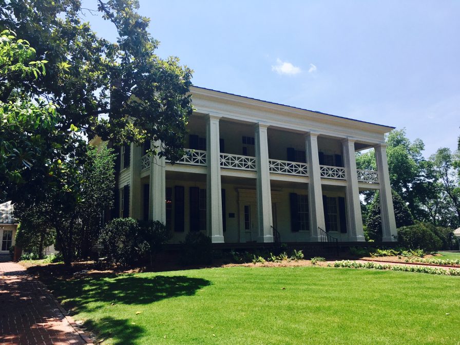 Fallen historic tree at Arlington: replace it with a centennial tree (photos) 6 Birmingham Alabama