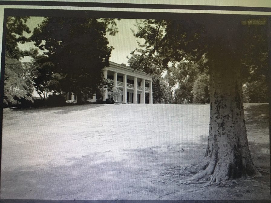 Fallen historic tree at Arlington: replace it with a centennial tree (photos) Fallen historic tree at Arlington: replace it with a centennial tree (photos)