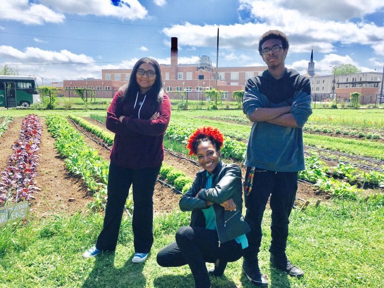 Woodlawn High School Urban Farm “school-grown” vegetables on sale every Tuesday in May (photos) Woodlawn High School Urban Farm “school-grown” vegetables on sale every Tuesday in May (photos)