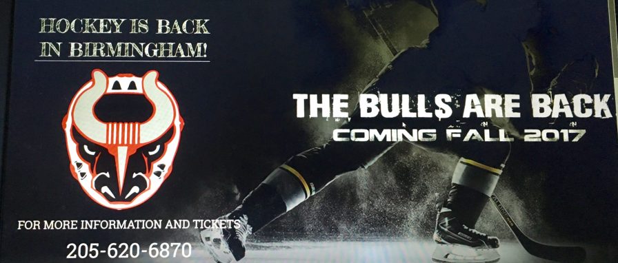 Birmingham Bulls