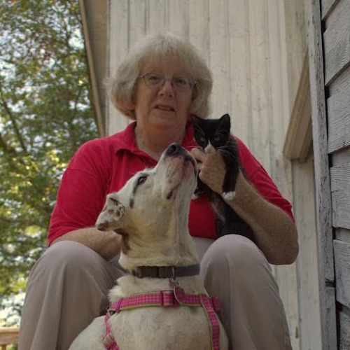 Cat trapping to solve overpopulation in Birmingham 2 Image may include: Kathy, her cat, and dog, cat trapping