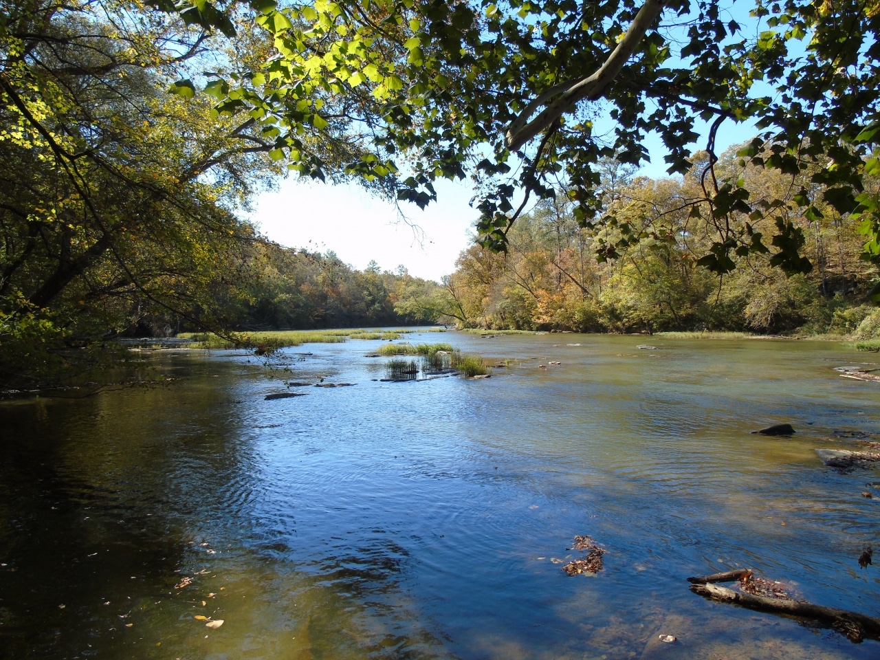 3 easy ways you can help keep Birmingham’s water clean
