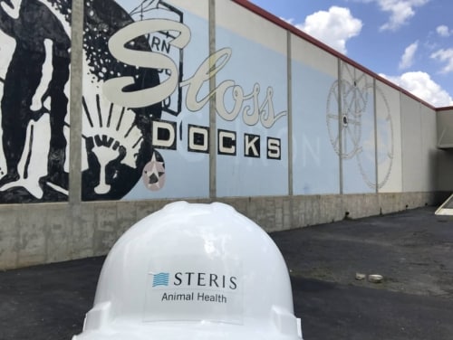 steris sloss docks