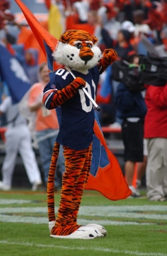 3 ways to prepare your man cave for the upcoming football season, thanks to AFS Foundation & Waterproofing Specialists 4 Aubie with Flag 3 ways to prepare your man cave for the upcoming football season, thanks to AFS Foundation & Waterproofing Specialists
