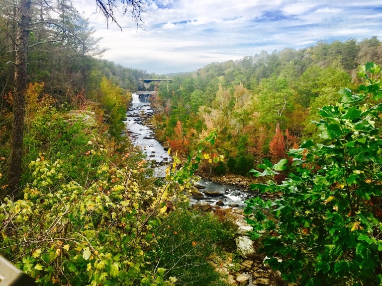 Groups release 50th Anniversary Earth Day pledge. Also, see list of 14 local nature nonprofits