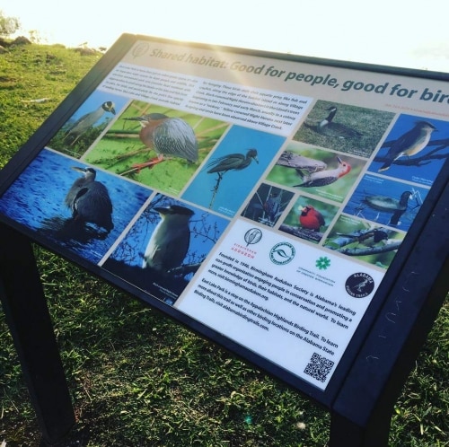 #BringAtoB Birmingham green spaces are abundant and close! 6 Birmingham's East Lake park