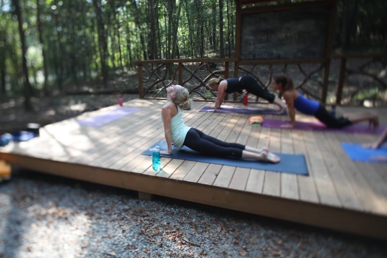 What is “HOGA?”  Discover it at Red Mountain Park