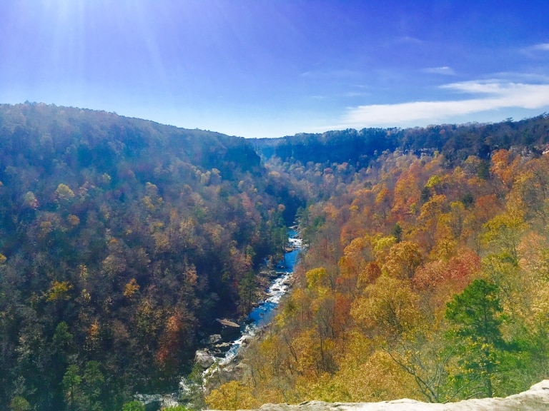 Can you name Alabama’s 10 Natural Wonders? See how a movement was born