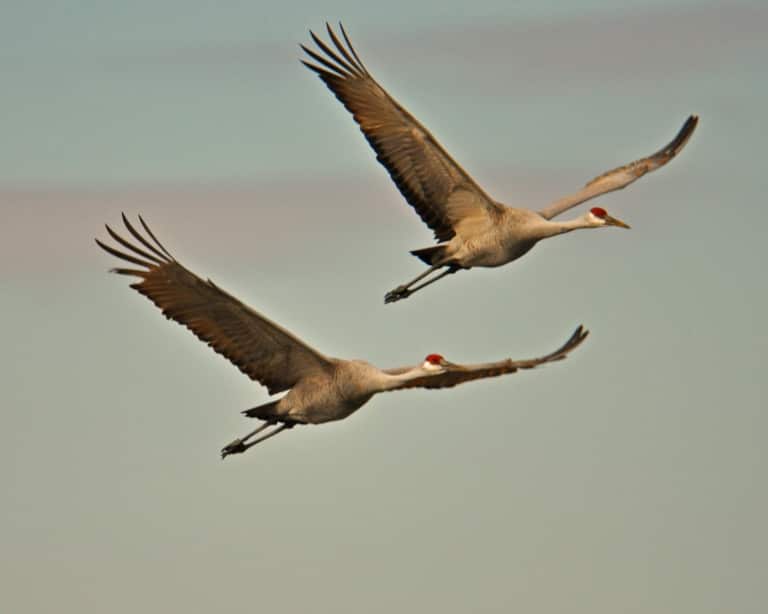 What is the impact of the government shutdown on Alabama’s National Parks and National Wildlife Refuges?