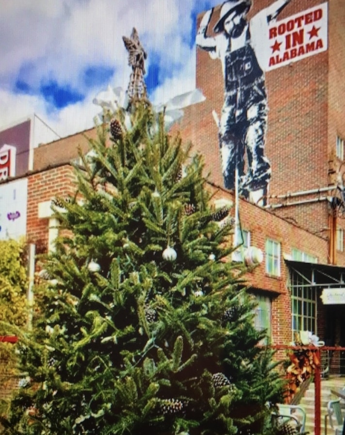 tree Instagram spotlight on Birmingham Christmas trees