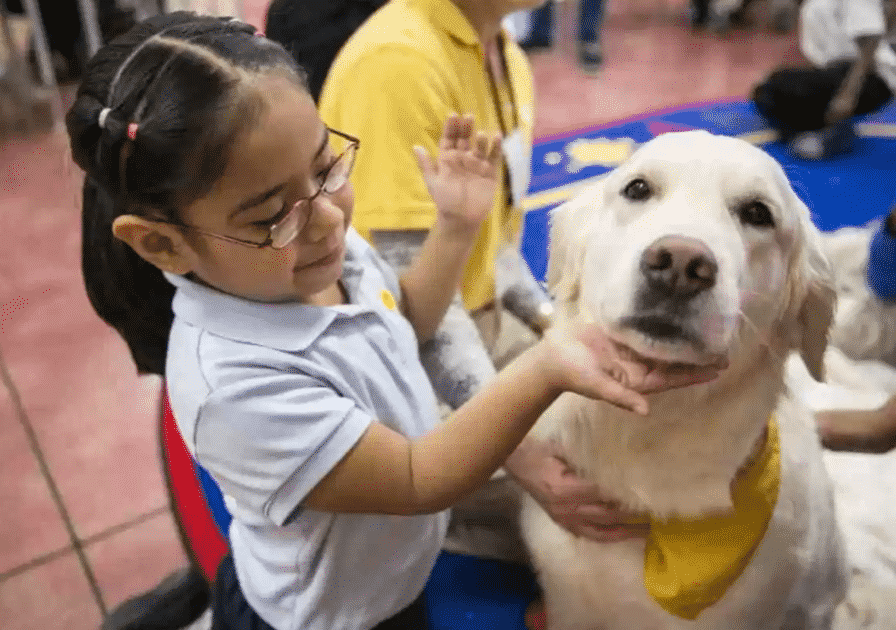 Birmingham, Hand in Paw, therapy, dogs, animals