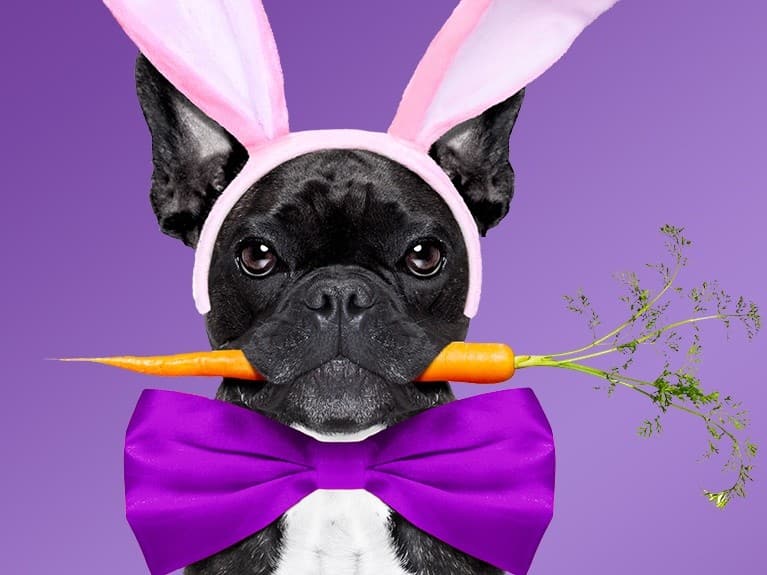 Birmingham, Easter, Easter Bunny and pets, pets, Easter Bunny, Easter Bunny photos, Easter activities, spring activities