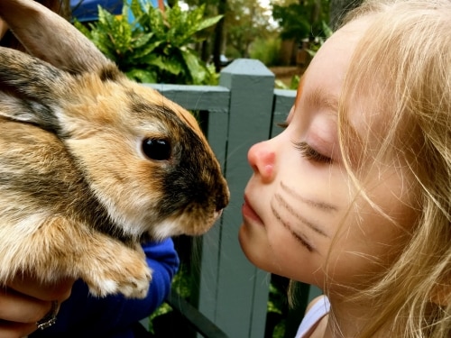 Birmingham, Easter, Easter events, Easter bunny, bunny, rabbit, animals, egg hunts, Easter egg hunts
