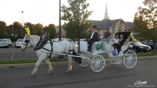 Birmingham, Alabama, horse, drawn, carriage