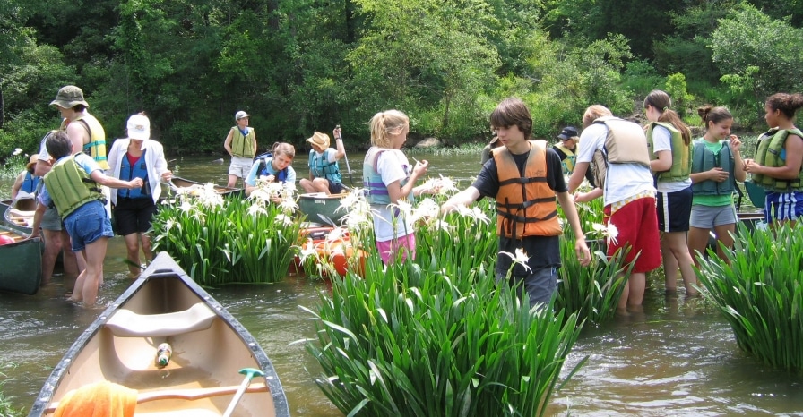Celebrate Earth Month with these Birmingham local clean-ups