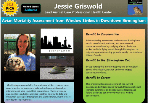 Screen Shot 2018 06 03 at 7.32.52 PM Nearly 1 billion birds die a year colliding into windows in the U.S. Learn how Birmingham Zoo's Jessie Griswold is helping solve this problem.