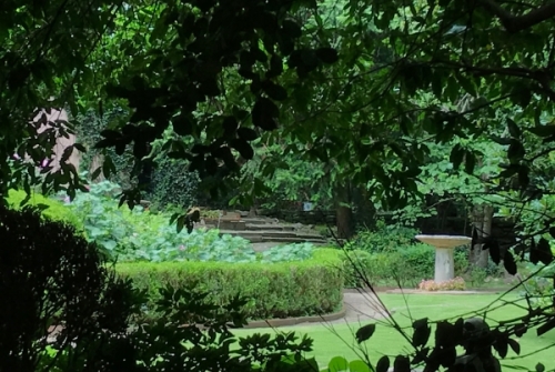 3 ways to join the effort to save Homewood's historic pink house and secret garden 3 Birmingham, Alabama, pink house and secret garden in Homewood