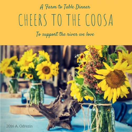 Sunflower 5 reasons why you should attend Cheers to the Coosa, September 6, at the Clubhouse on Highland
