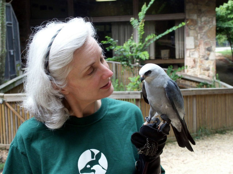 5 important conservation events in Birmingham during the first half of December