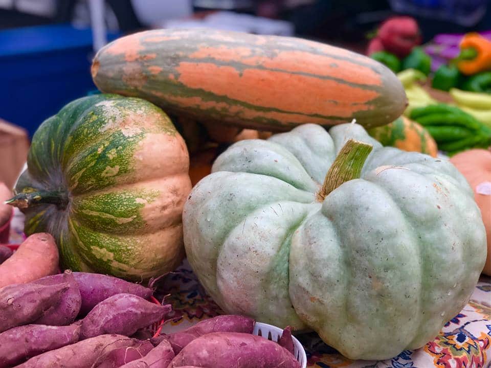 Birmingham, Alabama, Market at Pepper Place, pumpkins