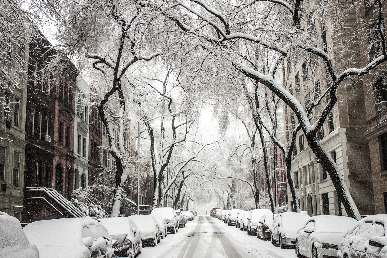 Celebrating Hispanic heritage with Barby and Luis Toro of Wasabi Juan's, part 2 3 New York snow