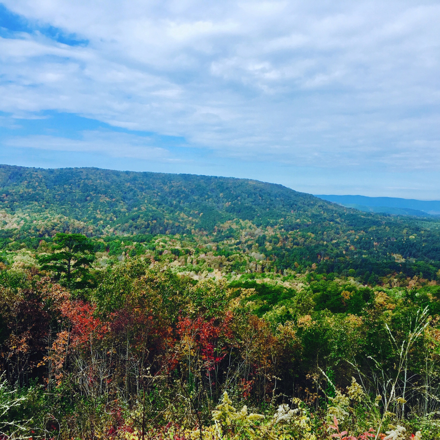 Birmingham, Cheaha State Park, scenic drives, Talladega Scenic Drive, Driver's Way