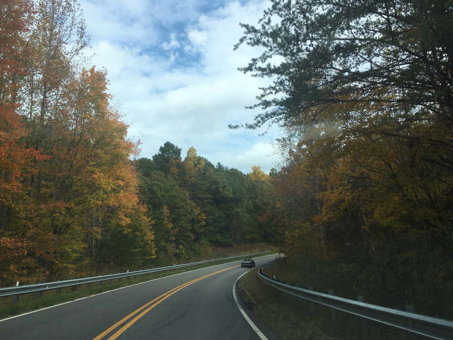 Birmingham, Cheaha scenic trail, scenic drives, fall drives, Driver's Way