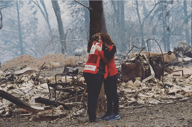 How Birmingham can help people and animals affected by California fires How Birmingham can help people and animals affected by California fires